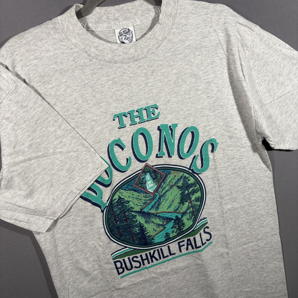 Eagle USA T-Shirt Poconos Bushkill Falls Large Gray Vintage Single Stitch